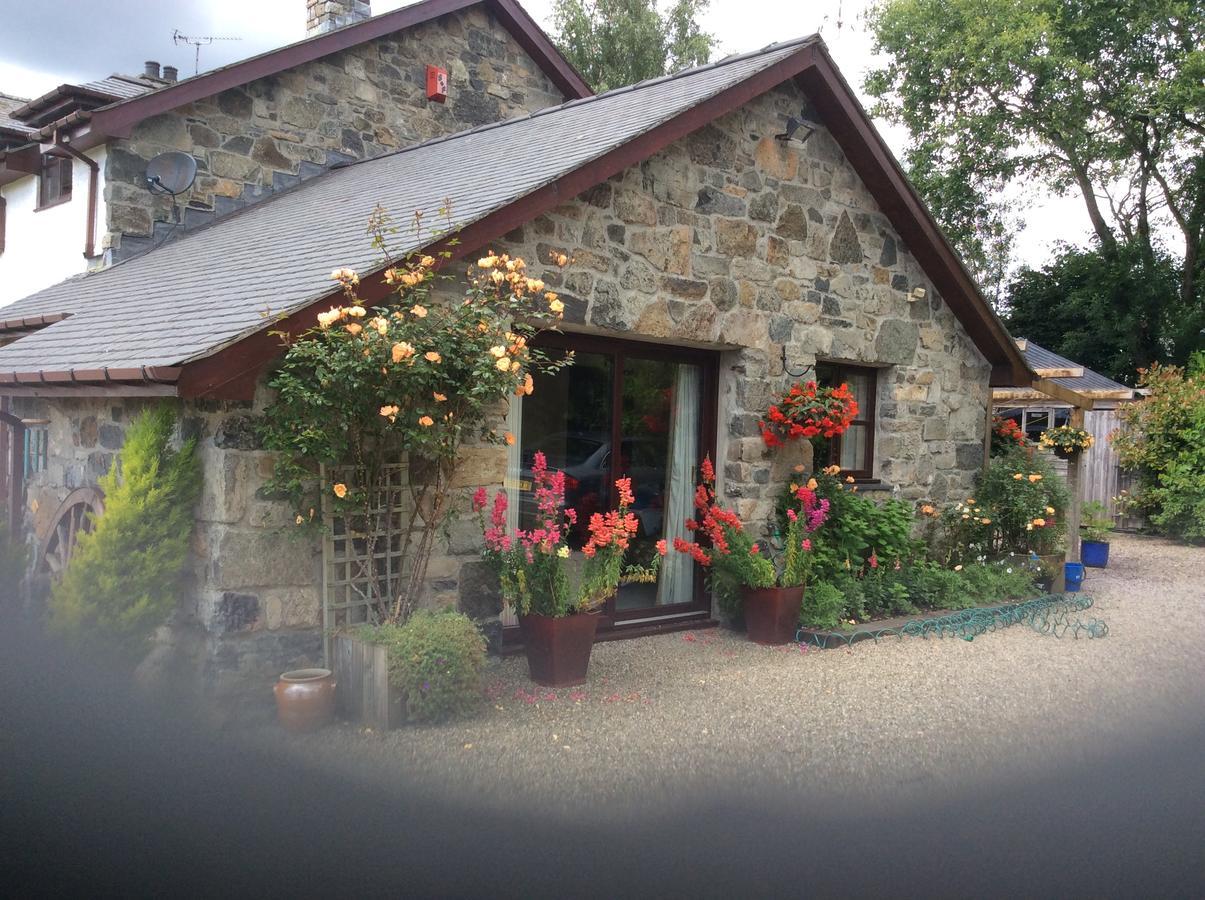Cysgod Y Garn Bed and Breakfast Bala Zewnętrze zdjęcie