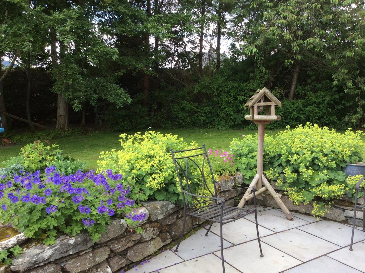 Cysgod Y Garn Bed and Breakfast Bala Zewnętrze zdjęcie